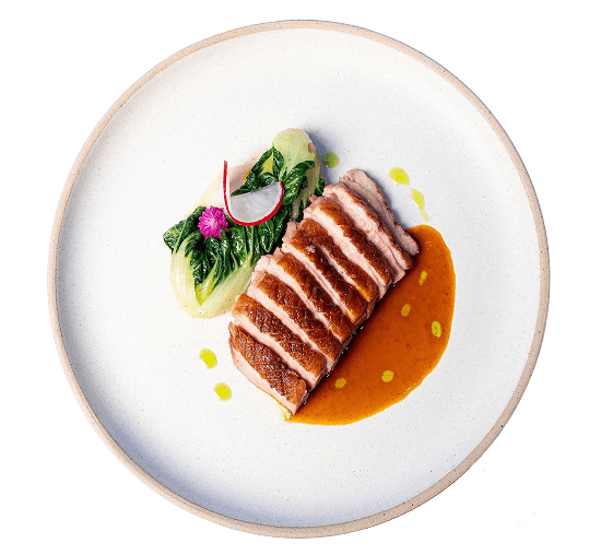 Filet de canard
